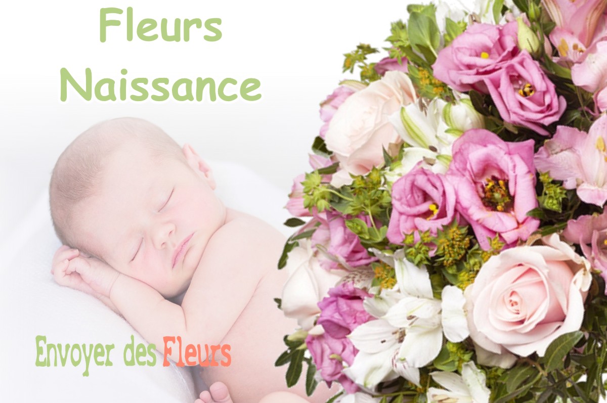 lIVRAISON FLEURS NAISSANCE à VEVY